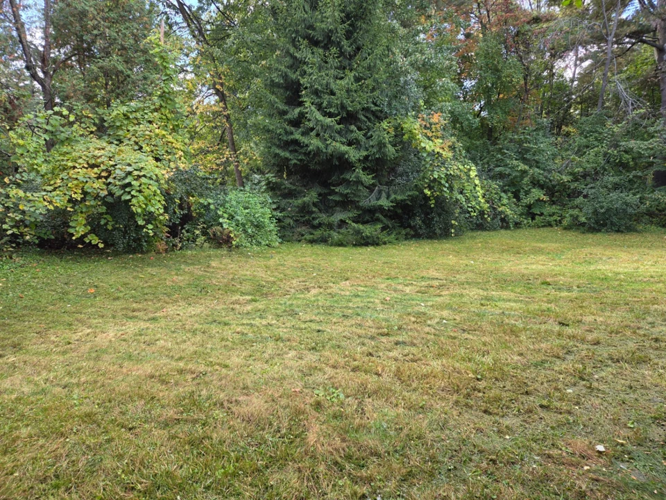 Cour arrière après la coupe des herbes hautes par MJ Landscaping à Hudson, au Québec.