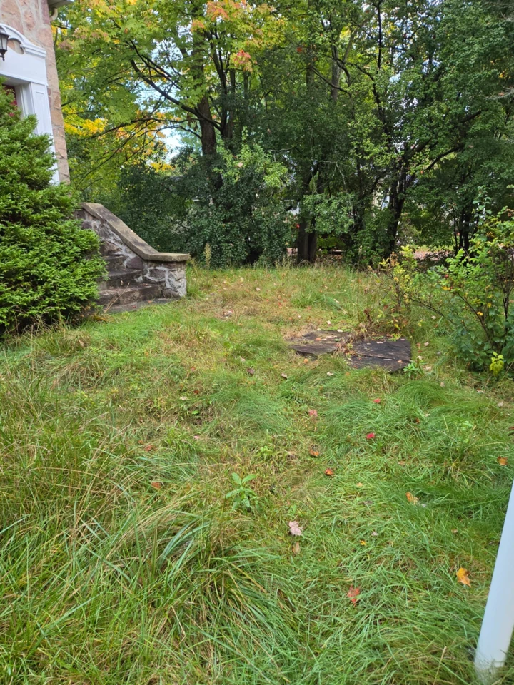 Herbes hautes autour du passage avant, avant le nettoyage de la propriété à Hudson, au Québec.