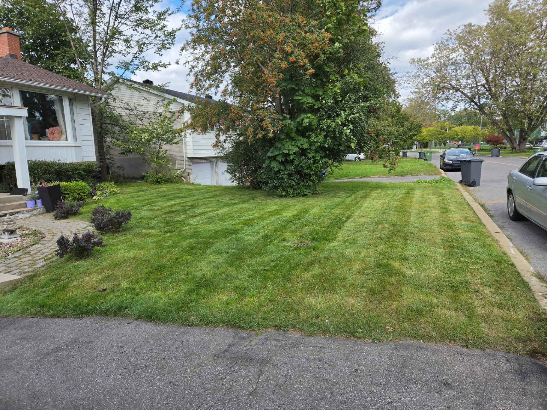 Pelouse résidentielle avant fraîchement tondue avec des bandes de tonte visibles dans l’Ouest-de-l’Île de Montréal – MJ Landscaping.