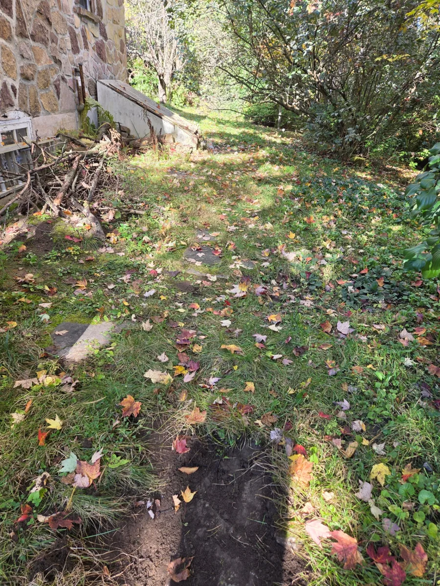 Côté de la maison à Hudson, avec les dalles d’un ancien passage en pierre cachées sous l’herbe, les mauvaises herbes et les feuilles.