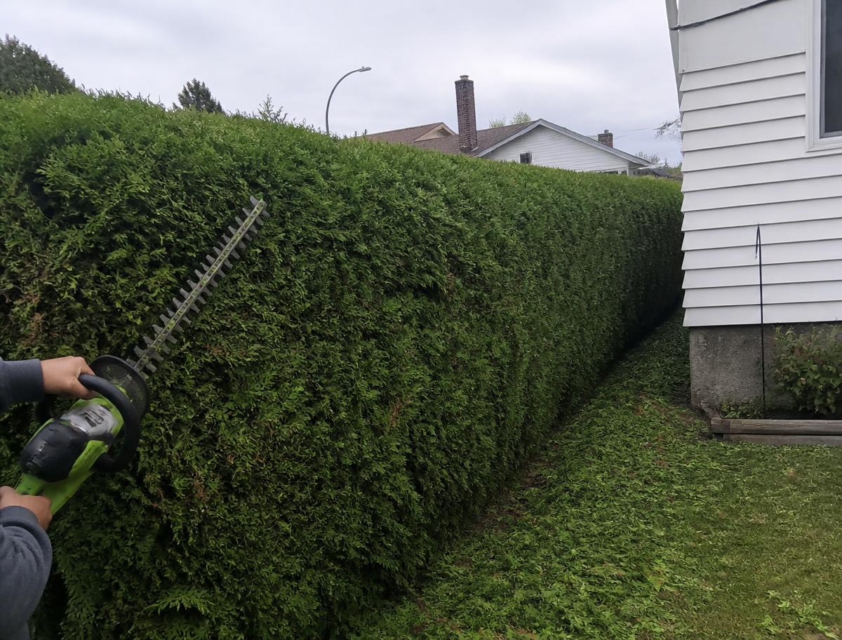 Hedge & Shrub Trimming