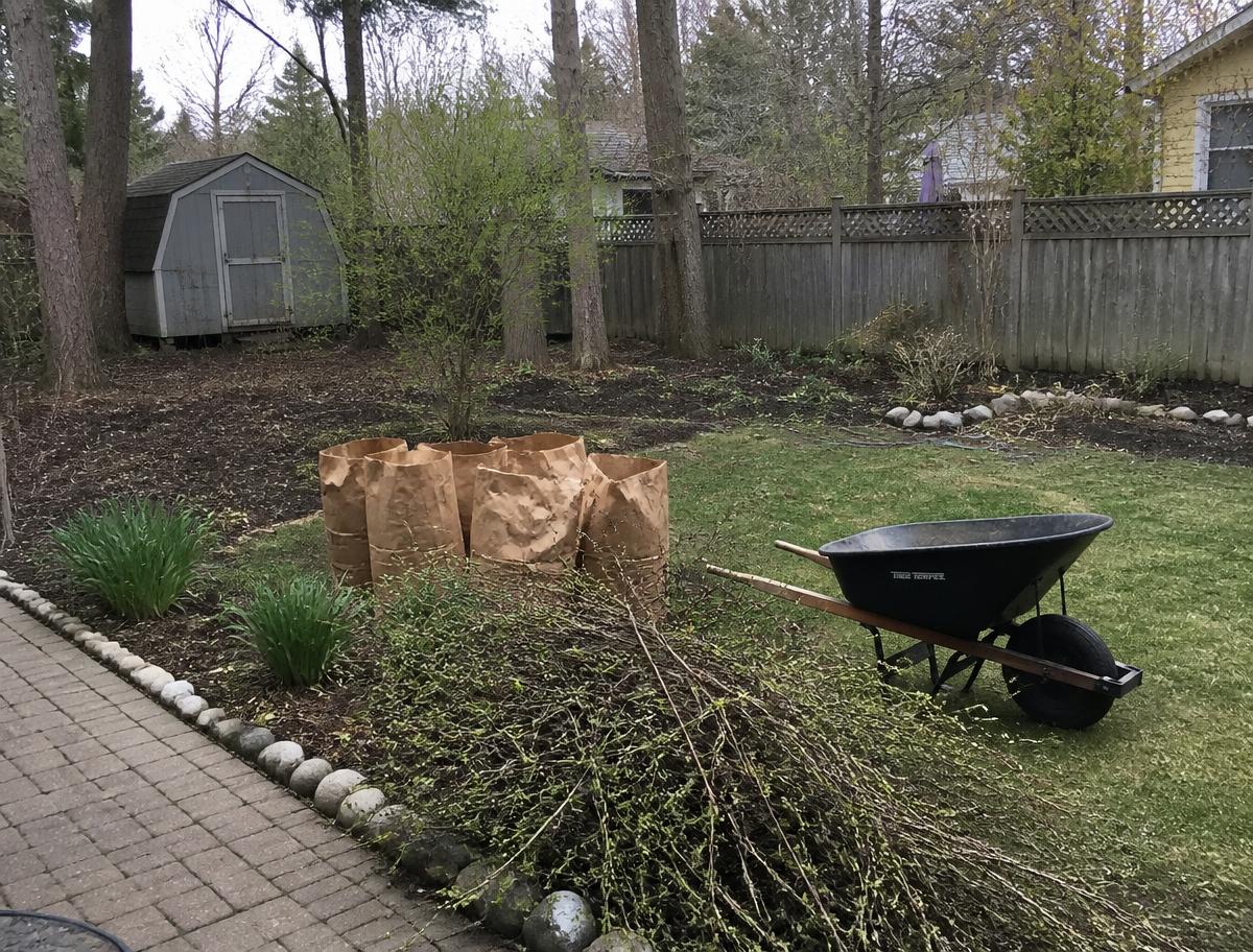 Yard Cleanups
